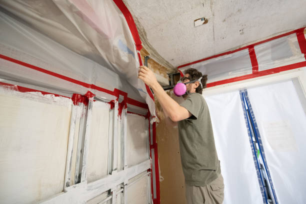 Best Real Estate Mold Inspection  in Hastings, MN
