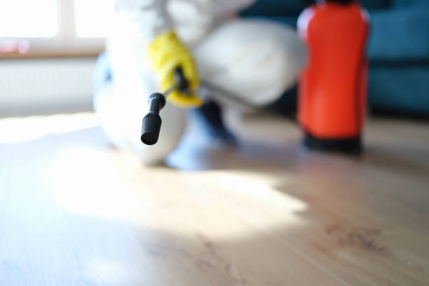 Best Biohazard Mold Removal  in Hastings, MN