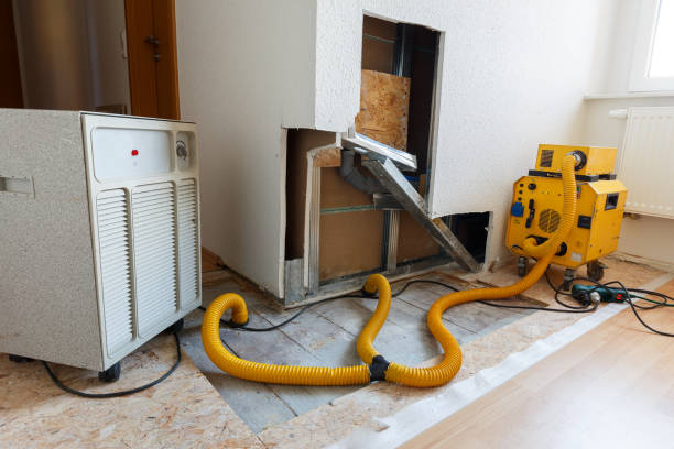 Best Post-Construction Mold Inspection  in Hastings, MN