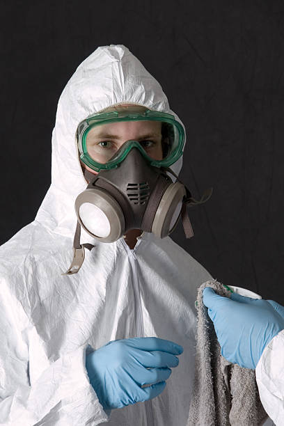 Mold Odor Removal Services in Hastings, MN